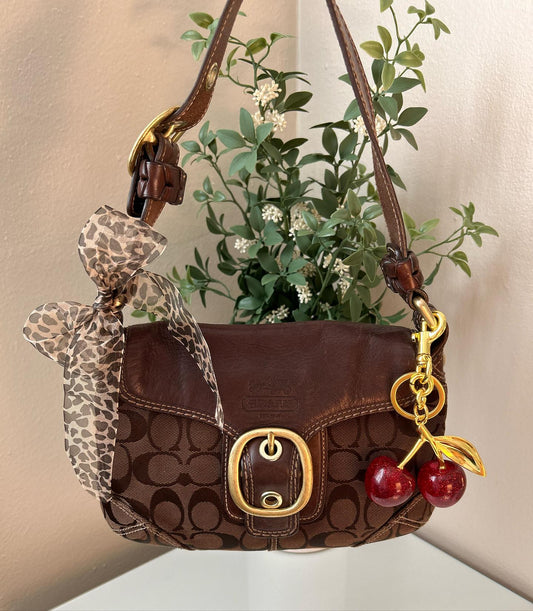 Authentic Brown Coach