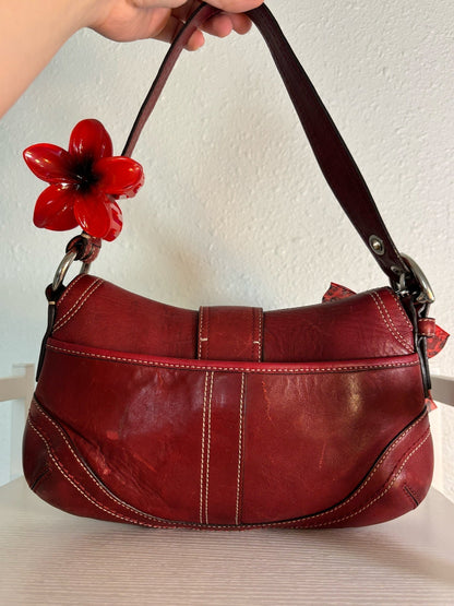 Authentic Coach Mini
