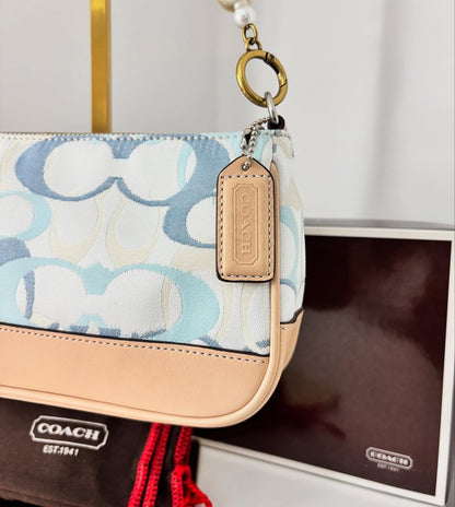 Authentic Cach Bag