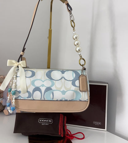 Authentic Cach Bag