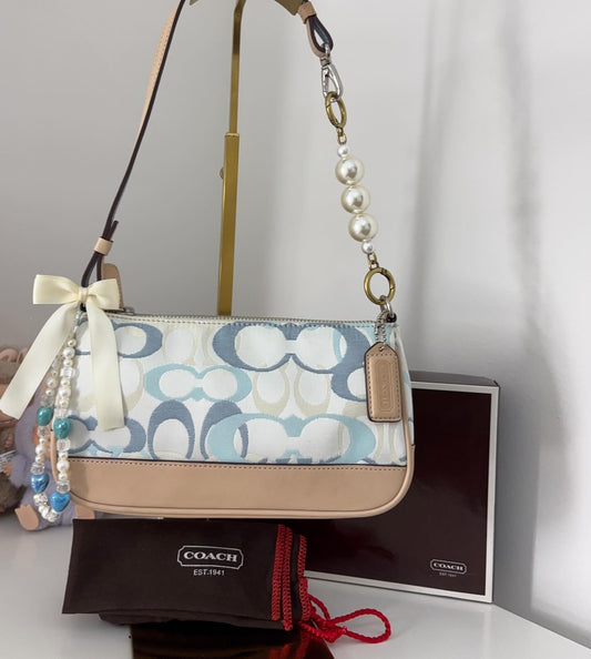 Authentic Cach Bag