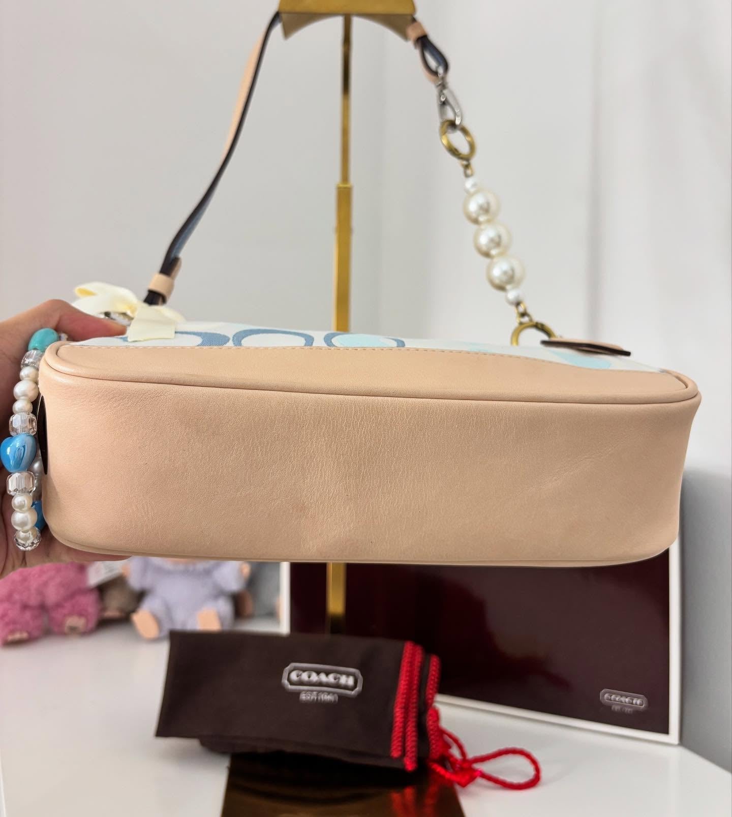 Authentic Cach Bag