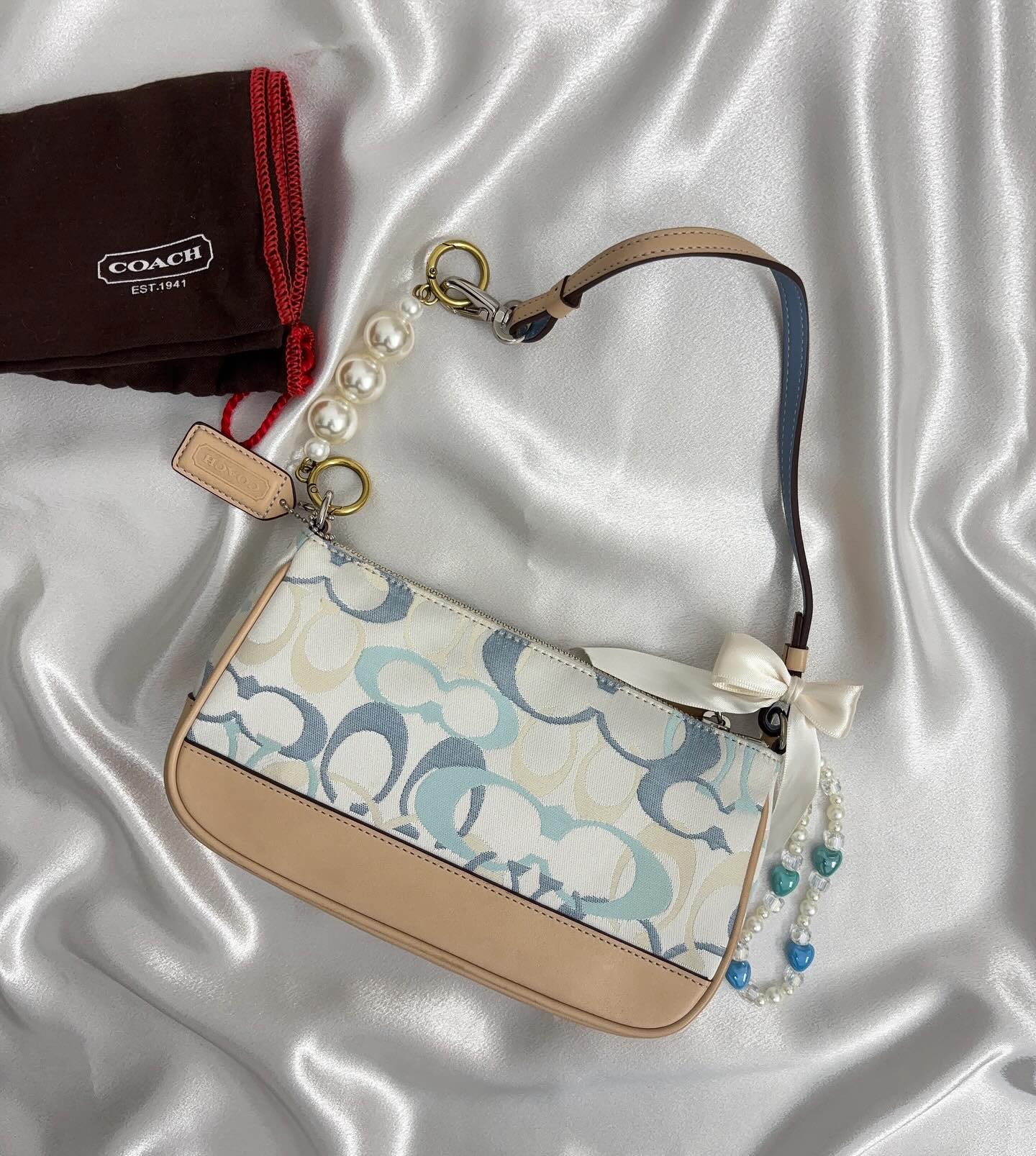 Authentic Cach Bag
