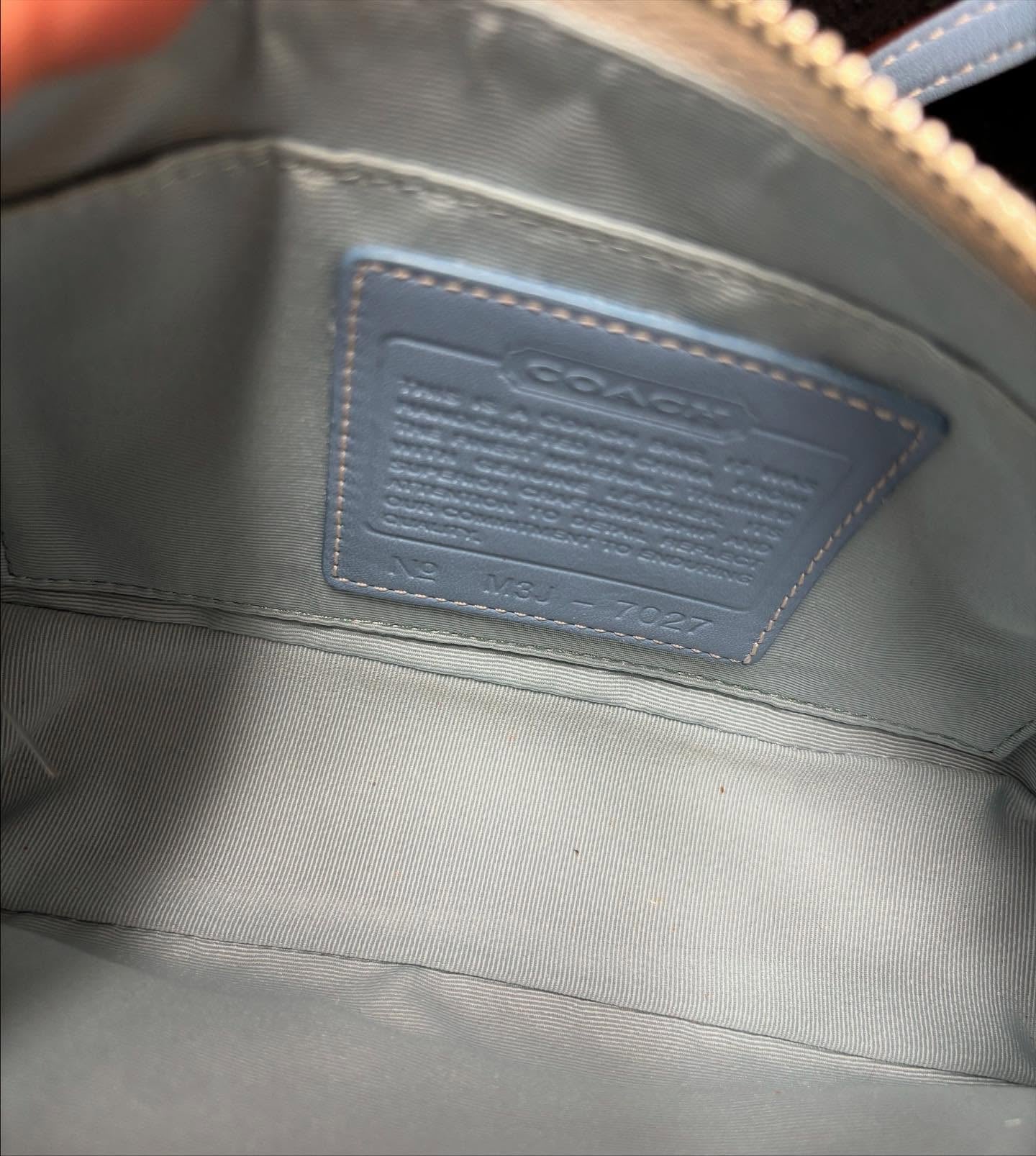 Authentic Cach Bag
